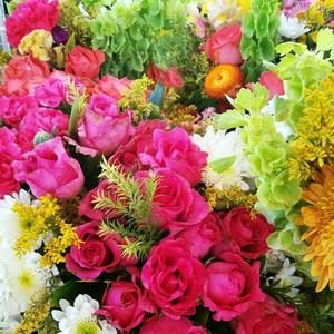 Meet your Posher, Maria